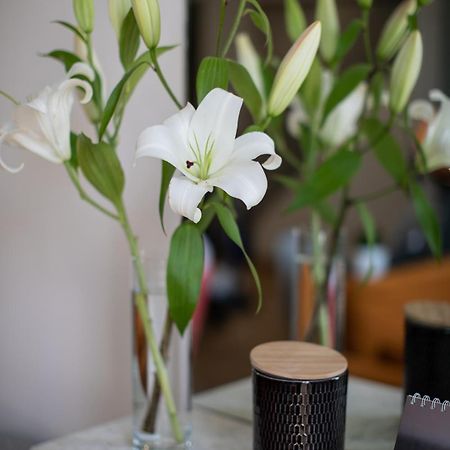 Ecrin Design A Deux Pas De La Mer คานส์ ภายนอก รูปภาพ